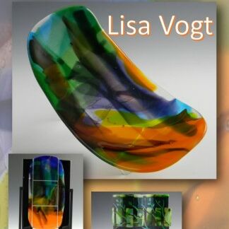 Go With The Flow with Lisa Vogt DVD