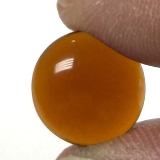 Small glossy orange berry held between two fingertips in close-up.